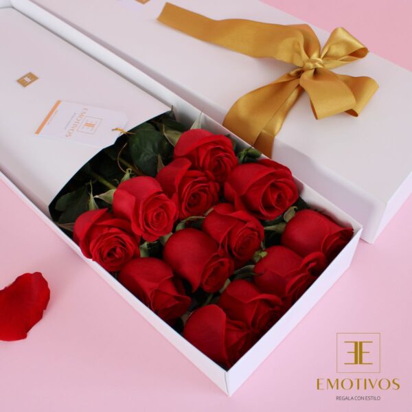 Caja con 12 Rosas