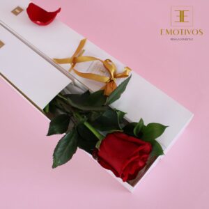 Caja con Una Rosa