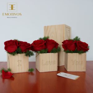 Pack Dilo con Rosas